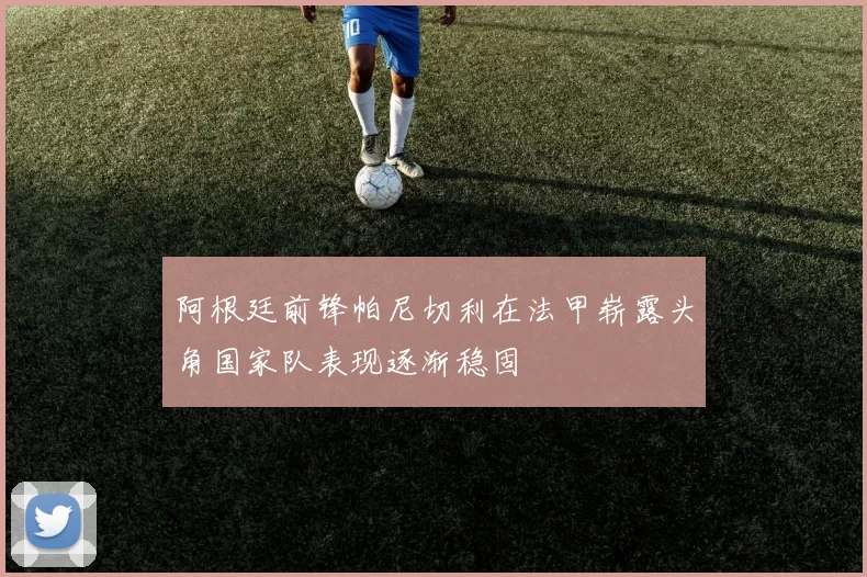 阿根廷前锋帕尼切利在法甲崭露头角国家队表现逐渐稳固